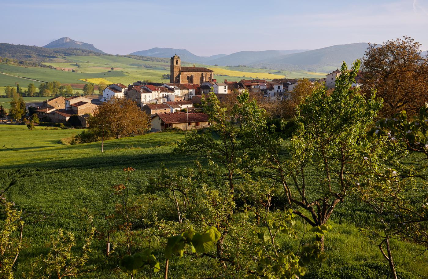 Le Chemin Ignatien